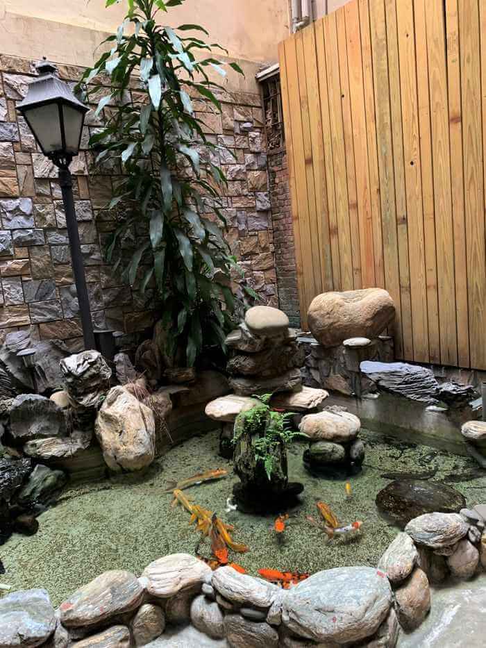 台南中西區住宿推薦/泊樂行旅赤崁店/小魚池/室內造景