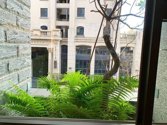 KUN HOTEL/台中逢甲住宿推薦/夜市附近高CP值飯店/走路5分鐘到夜市 - 第14張圖 台中逢甲住宿推薦/KUN HOTEL/夜市附近高CP值飯店/走路5分鐘到夜市/國際館二樓植栽