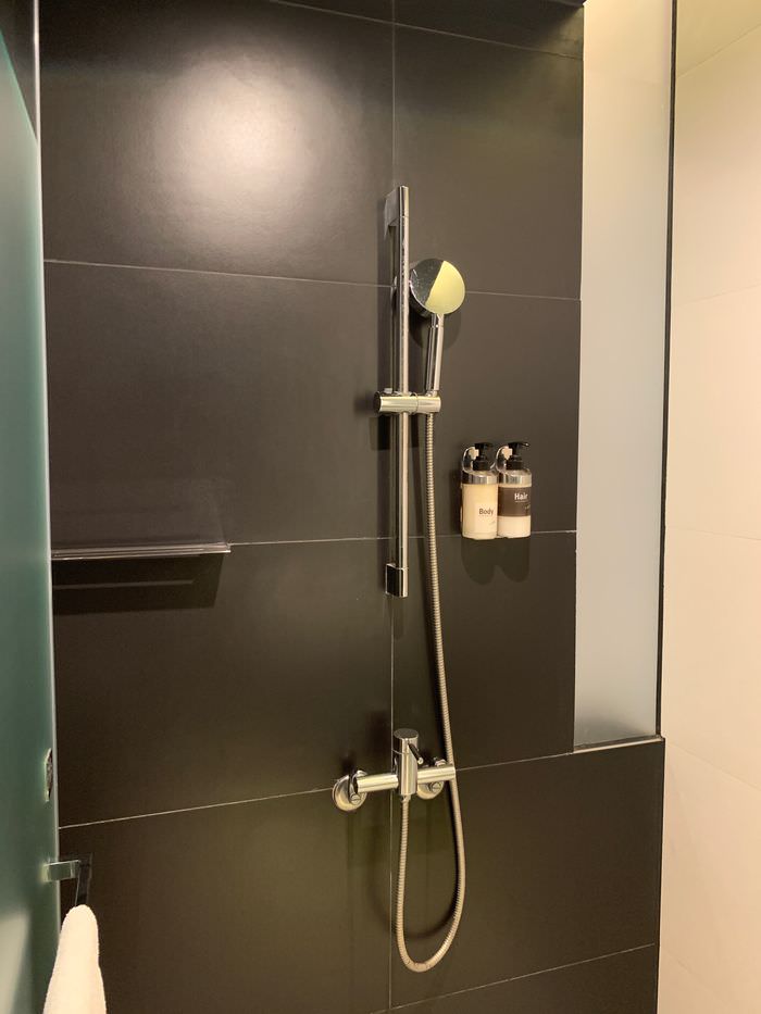 台南東區住宿/老爺行旅The Place Tainan/台南住宿飯店酒店推薦/設計風格結合在地元素飯店乾濕分離