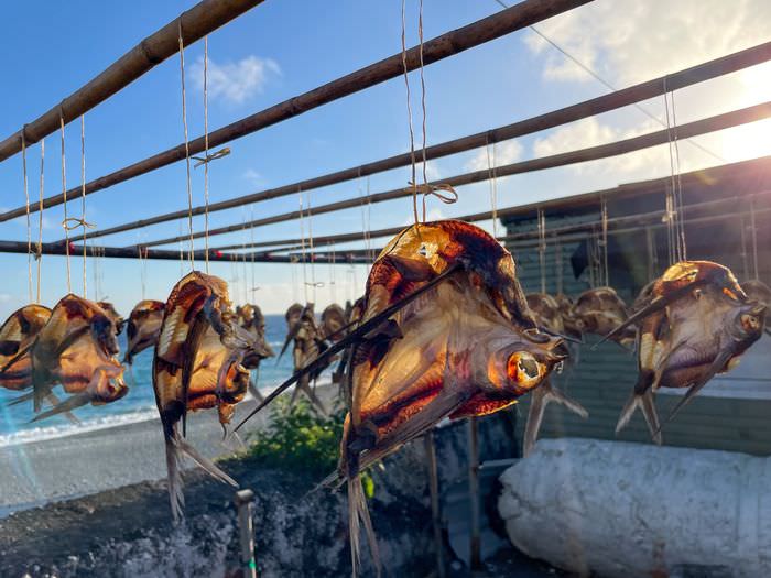 蘭嶼巴漾民宿/蘭嶼無敵海景房住宿推薦2021/靠近碼頭/電話地址/環島拍照景點 - 第58張圖 蘭嶼巴漾民宿/蘭嶼無敵海景房住宿推薦2021/靠近碼頭/電話地址/環島拍照景點/飛魚乾