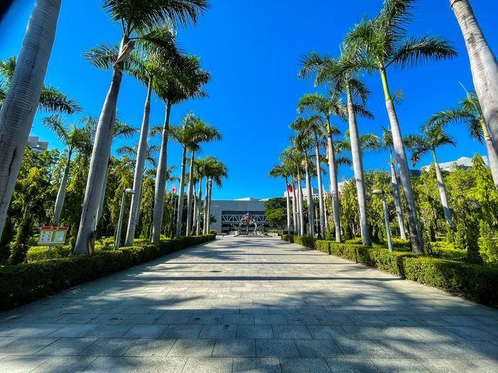 高雄康橋商旅覺民館/高雄三民區高CP值住宿推薦/電話地址訂房/國立科學工藝博物館/椰子樹