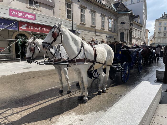 [奧捷自助] 維也納自由行行程規劃。奧捷蜜月第一站Day1。維也納馬車