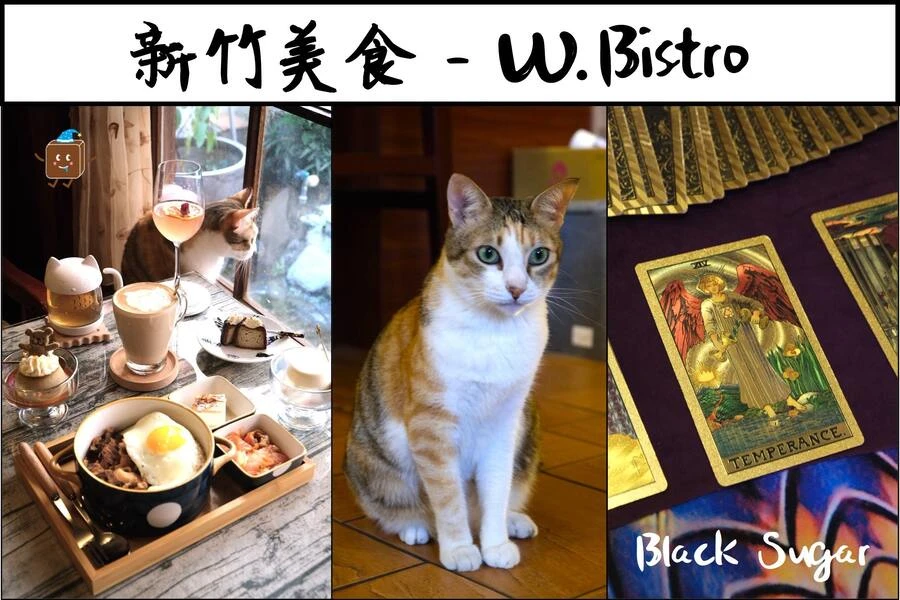 [新竹美食] W.Bistro. 塔羅牌占卜咖啡廳，外帶調酒推薦。貓咪咖啡廳。