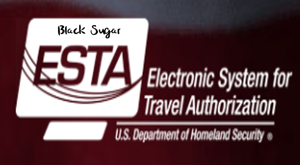 ESTA申請流程。美國免簽證入境90天內申請教學。